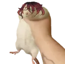 ratwan