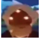 MothWhatThe