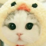 CatDuck Discord emoji