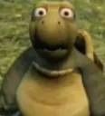 augh augh