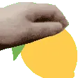 Lemn