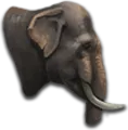 warelephants