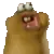nom