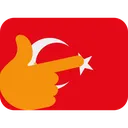 2442_turkey_thinking