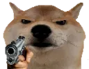 shibainuvertebratemammalcanidaed