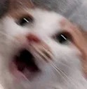 ML_scared_af
