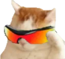 WICKEDCAT