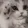 happycat happycat