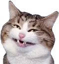 hehcet