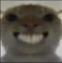 cat_teeth