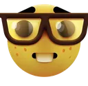 yq_nerd