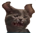 cat_ahhhhh Discord emoji