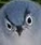 strashenbuhal Discord emoji