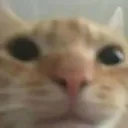 rr_wserio