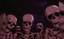 skeletonsmem