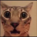 emoji_5