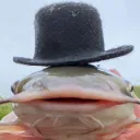 ThomasPog ThomasPog