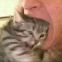 ConsumePussy