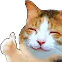 ThumbsUpCat