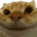 Sisi Sisi