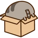 pusheen_hide