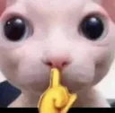 shush