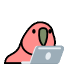 5378_laptop_parrot