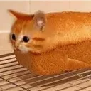 SB_CatBread