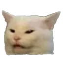 smudgecat Discord Emoji