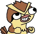 PidgeyDerp