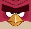 terrence_stare