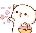 AMcatflowerpetals AMcatflowerpetals