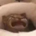 etf_cat_cry