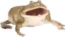 aaaaaaaaaa