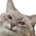 754644734466850919