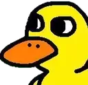 zjt