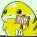 xdpro
