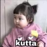 zzzz_kuttta