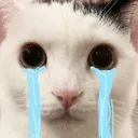 CatCry