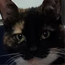 elgatto_smirk