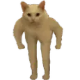 standcat