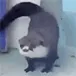 a_al_listening_to_twice