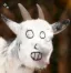 fakygoat
