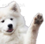 dog_wave Discord emoji