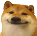 doge_smile