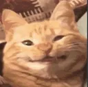 Cat_Hehe