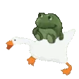 afg_duck