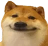DogeHapp