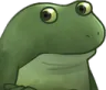 FrogeConcern