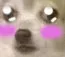SmolSenpai SmolSenpai